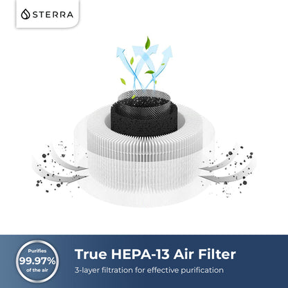 Sterra Moon™ Air Purifier With 2 Free Filters Sales
