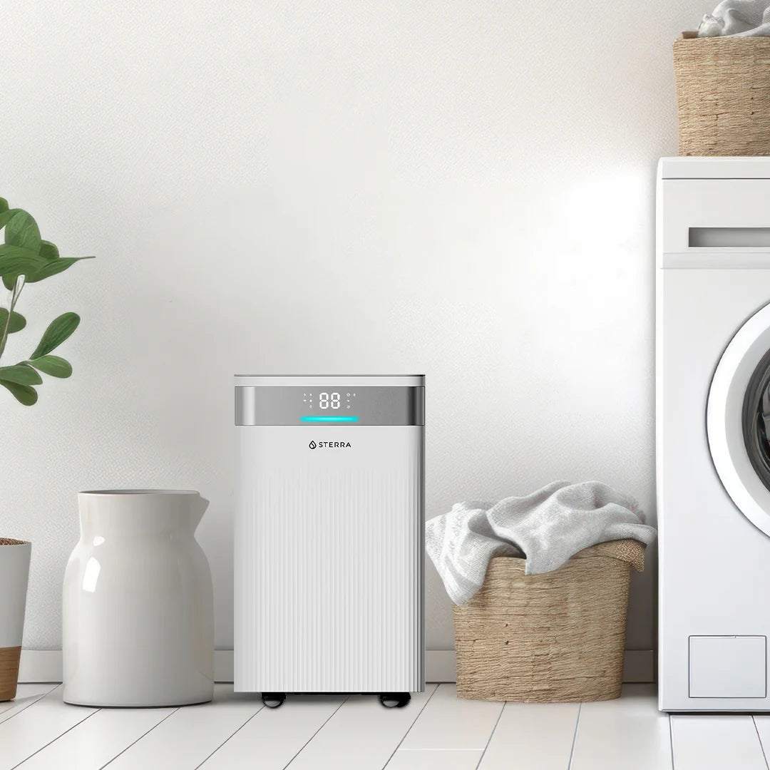 Sterra Ray™ Dehumidifier